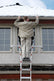 Little Giant® WingSpan™