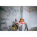 Little Giant® Paint Pro